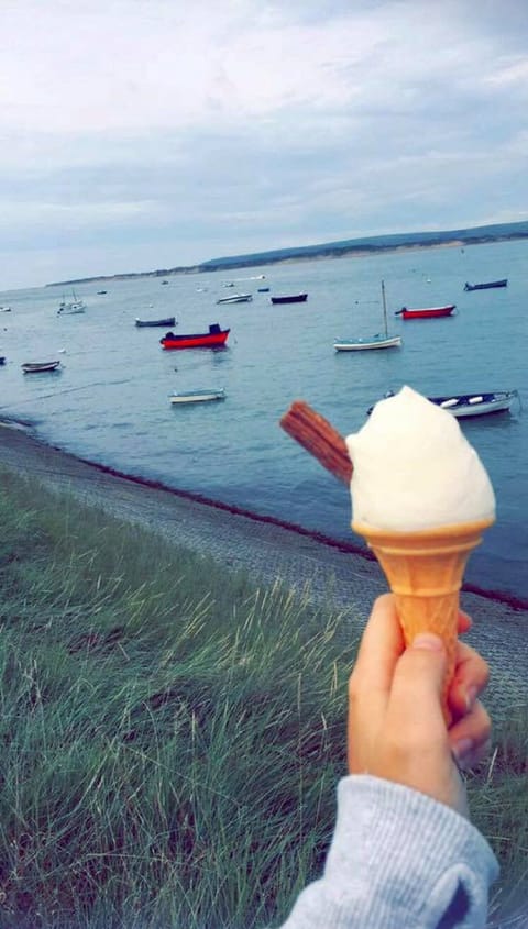 Hockings Ice Cream in Appledore