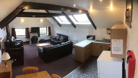 Barn kitchen/dining room