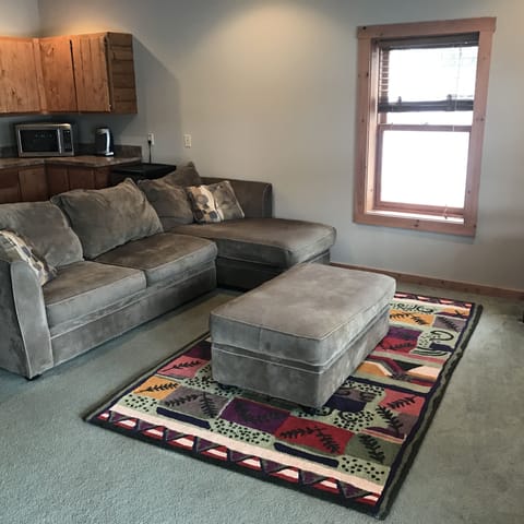 Lowe level family room. With sleepers 