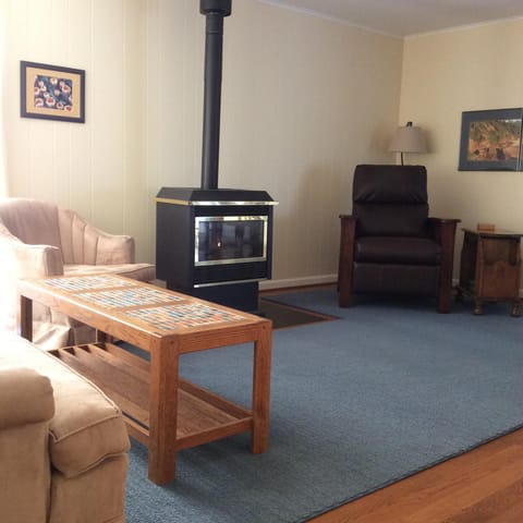 Gas fireplace in living room