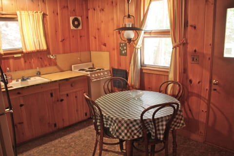 Little cabin kitchen