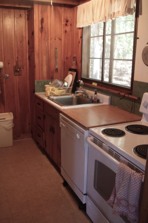 Big Cabin kitchen