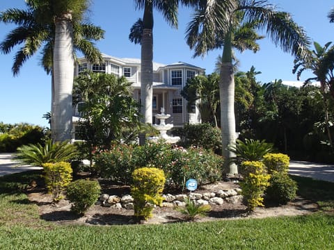 Garden setting on the Bay with over 70 palm trees