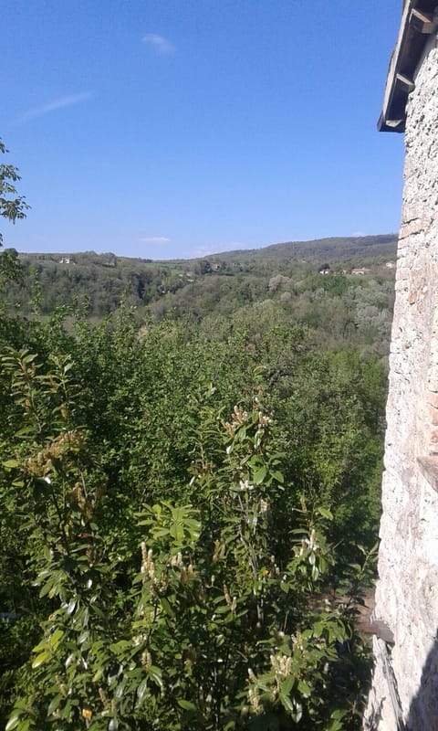 panorama from the kitchen's window