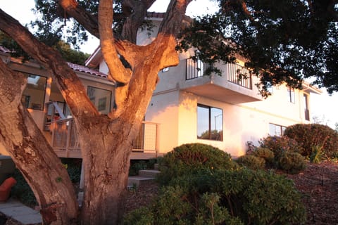 Side View facing west