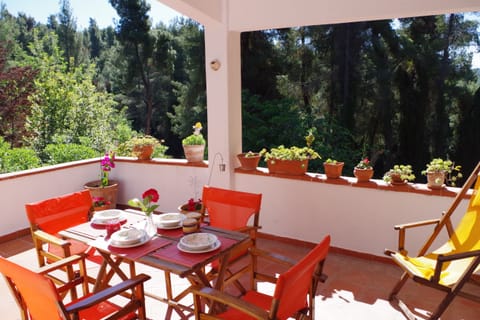 Wake up to this view