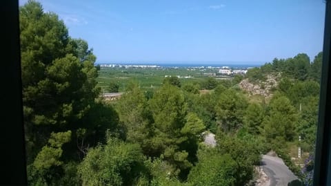 View from lounge window