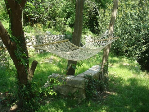 Hammock in garden in shade of trees