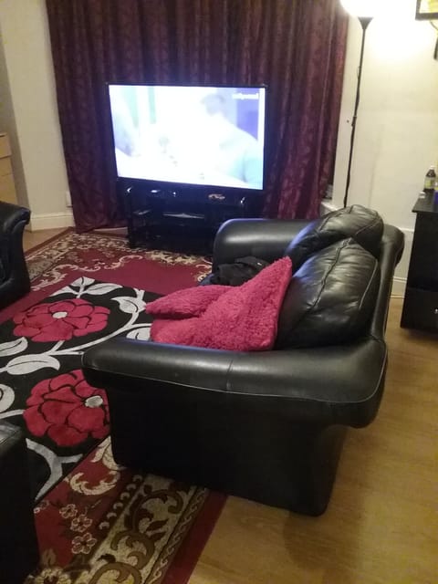 Television