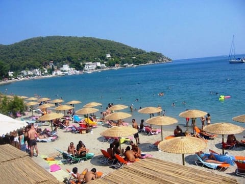 Nearby beach - 10min by tram
