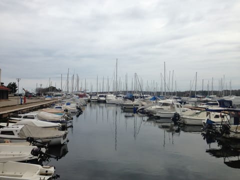 Marina