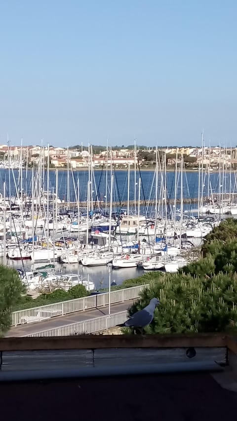 Marina