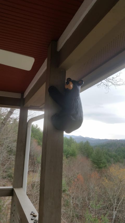 Out pet bear "Boo Boo", hangs on front porch posts.