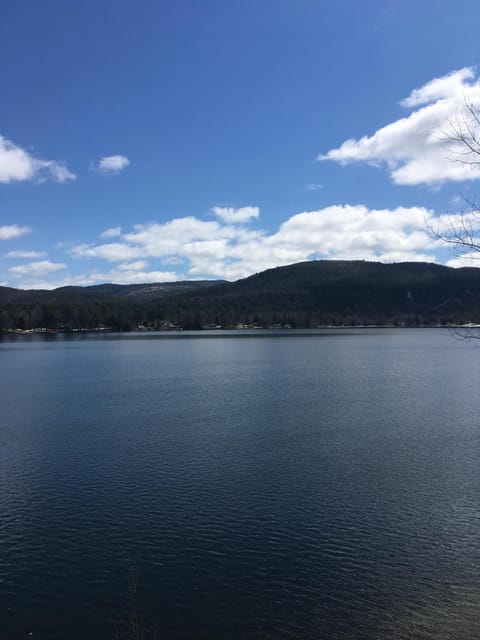 View from lakeside deck and dock.