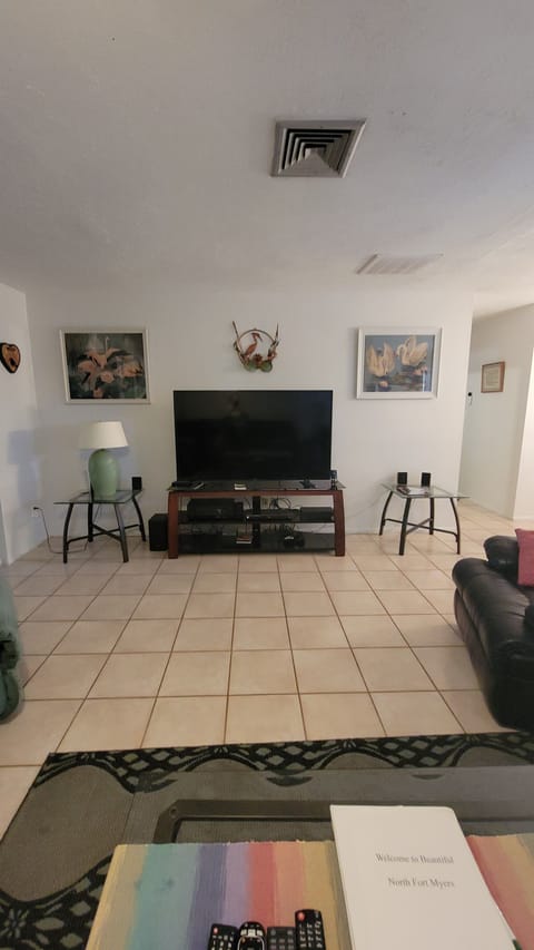 TV and entertainment center in LR