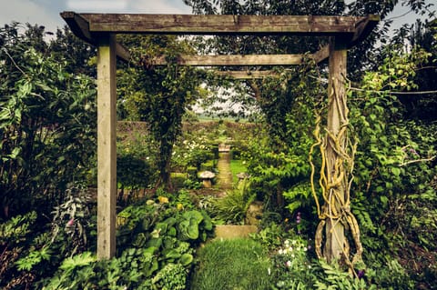 view into the Rose Garden