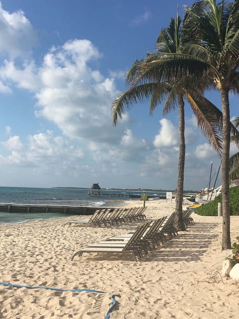White sand beaches