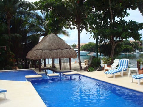 Swim up Palapa with rope swings