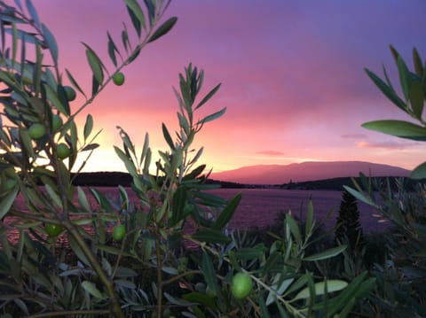 Sea , sun and olive trees means heaven in Greece.