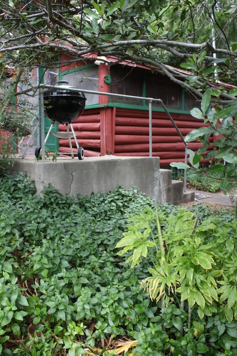 Cabin 3