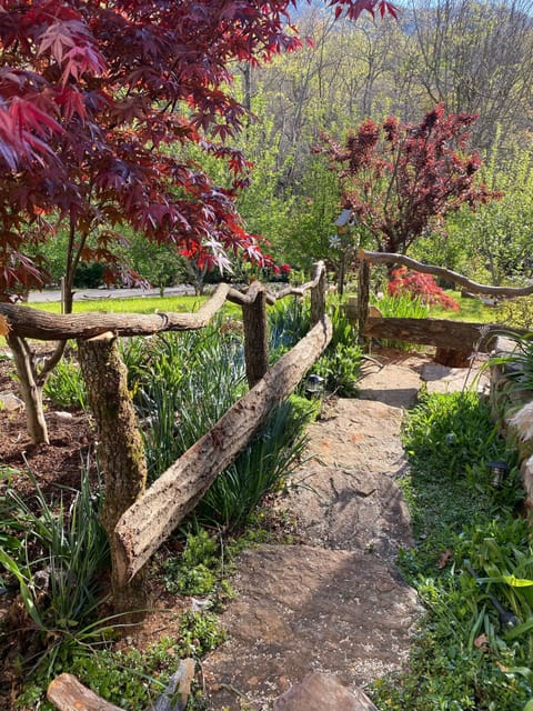 Steps and hand rail to Hide Away