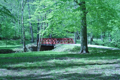 Bridge to the house.