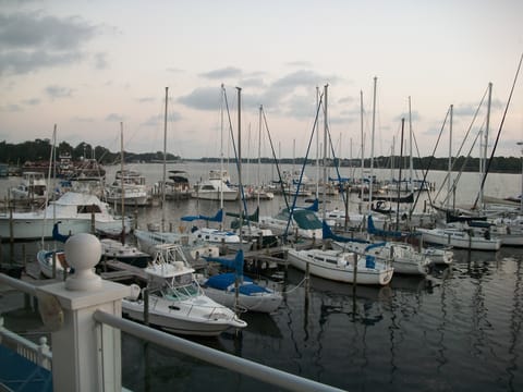 Boats at Marina