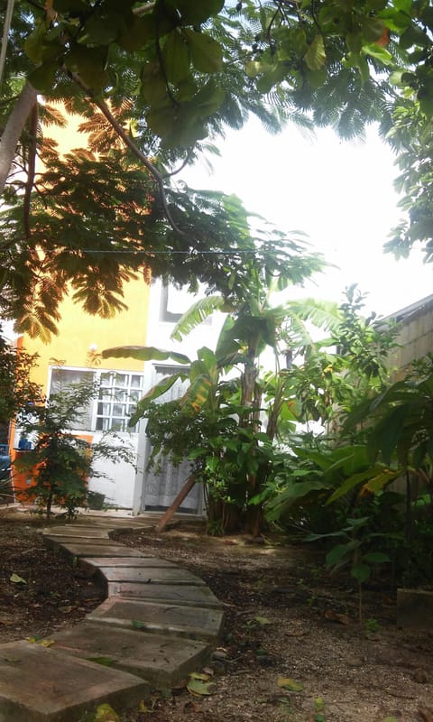 Beautiful backyard