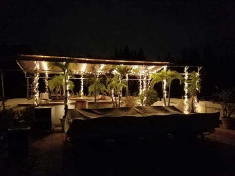 Rooftop garden at night