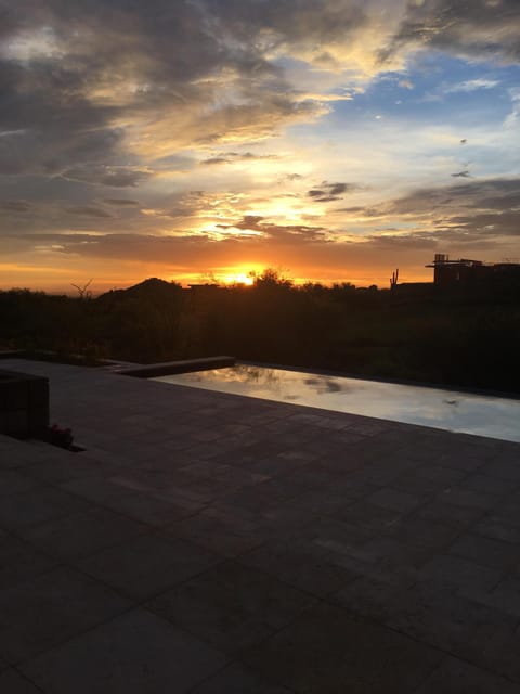 Back yard in  the evening