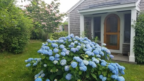 Cottage door entryway