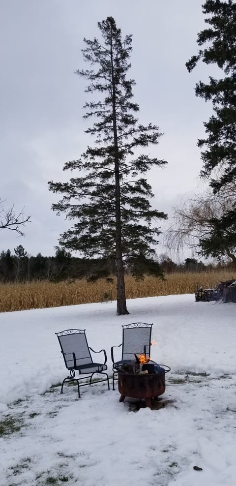 Campfire to enjoy the stillness