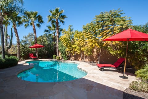 Gorgeous Backyard:  four new chaise lounges, dining space, and sun or shade