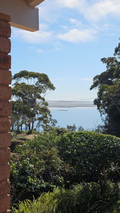View from Balcony