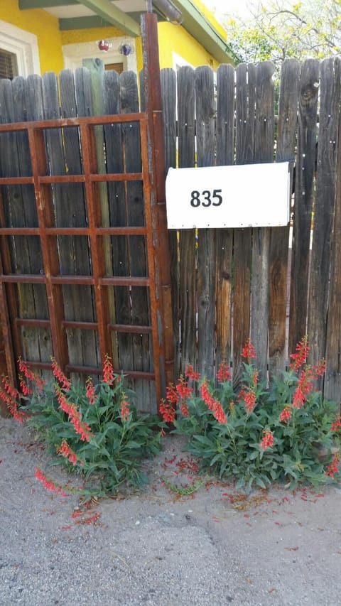 Front gate area, native penstamen