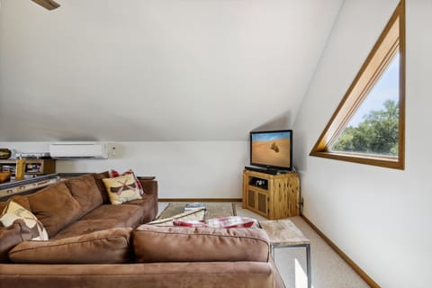 Large sectional, which is also a queen pull-out bed