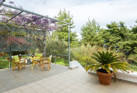 The terrace and large garden