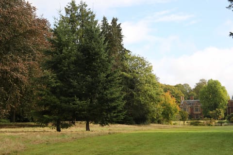Joyce Grove from the Grounds