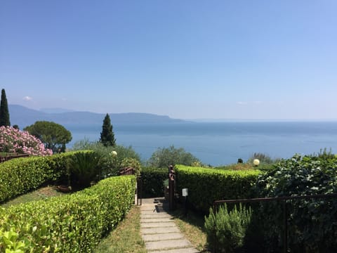 Stunning view from the terrace!
