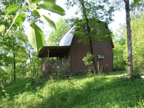 Enchanted cabin in forest on bluff overlooking recreation area on the Ouachita River