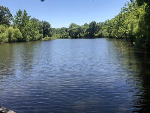 View from dock