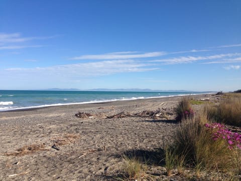 Leithfield Beach - 5 minutes walk