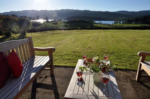 view from back door into garden.