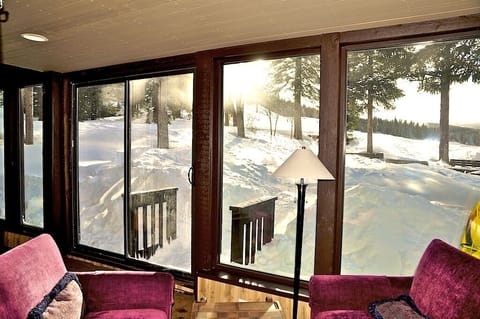 Wintertime View. Check out the conditions! Ski storage right in this room.