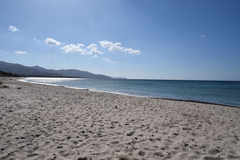 The beach 