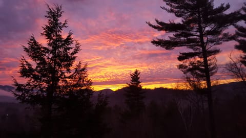 Million Dollar Deck View