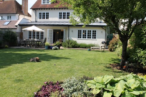 the back of the house with decking area and bbq