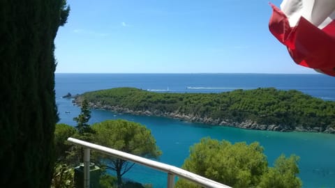 front view from the house