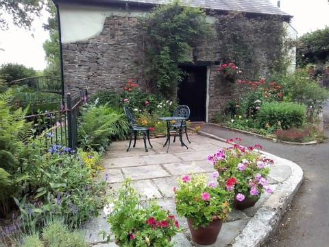 Hammas Barn patio in summer