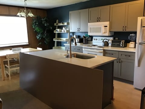 Kitchen remodel underway...